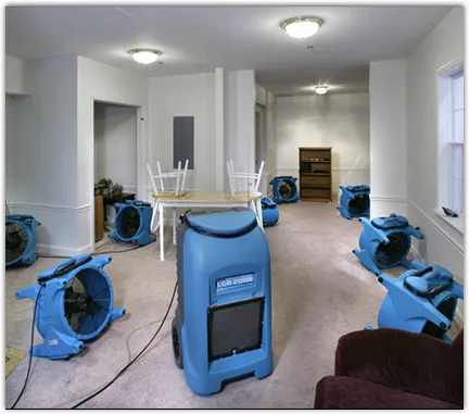 Water Damage Restoration services in Aldine, TX