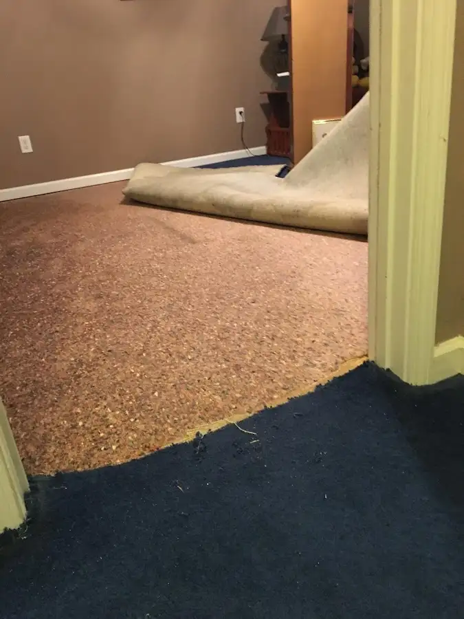 Carpet pad removal revealing water damage during Drying & Dehumidification in Aldine