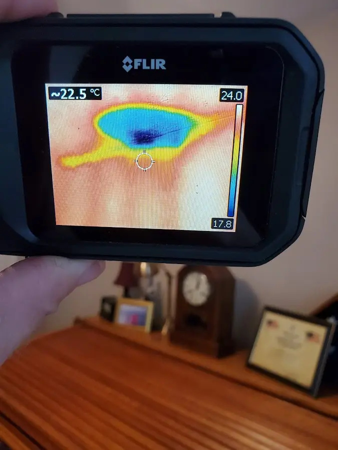 Thermal imaging inspection for water damage in Aldine